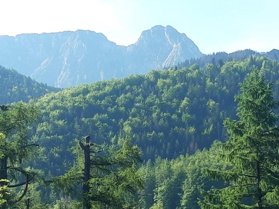 Kwatery Prywatne-Romanowka Zakopane Exteriér fotografie