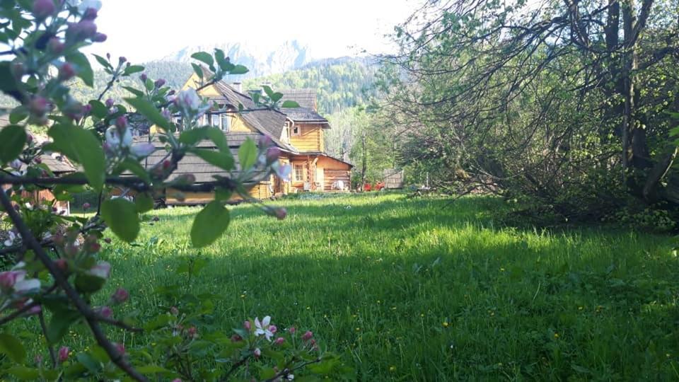 Kwatery Prywatne-Romanowka Zakopane Exteriér fotografie