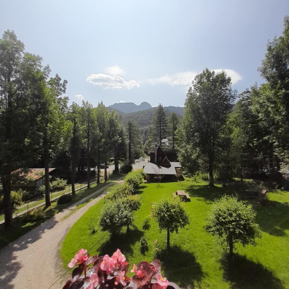 Kwatery Prywatne-Romanowka Zakopane Exteriér fotografie