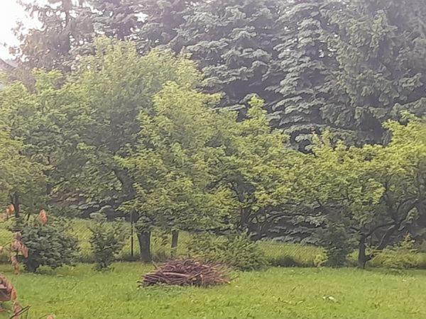 Kwatery Prywatne-Romanowka Zakopane Exteriér fotografie