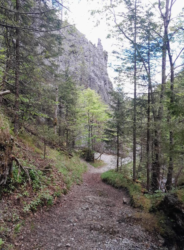 Kwatery Prywatne-Romanowka Zakopane Exteriér fotografie