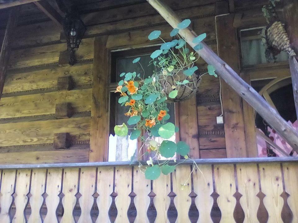 Kwatery Prywatne-Romanowka Zakopane Exteriér fotografie