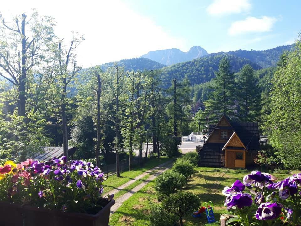 Kwatery Prywatne-Romanowka Zakopane Exteriér fotografie