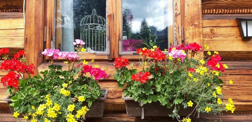 Kwatery Prywatne-Romanowka Zakopane Exteriér fotografie